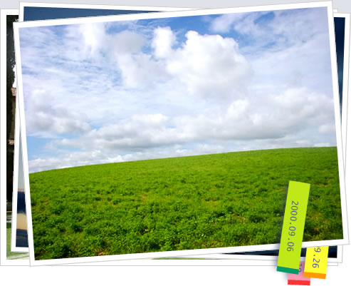 �����ʐ^�f�ނ�T���Ȃ�Photon!